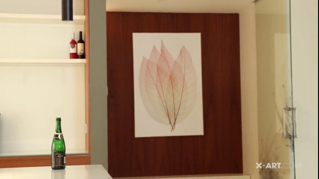 Превью Брюнетка вылизала яйца мужика, чтобы он трахнул ее в киску № 35644