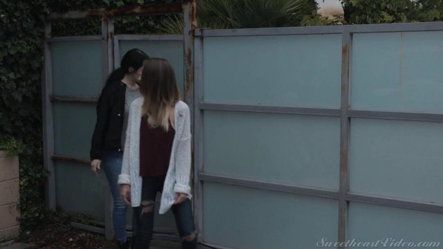 Превью Зрелая баба устроила нежный лесби секс с молодой блондинкой № 35685