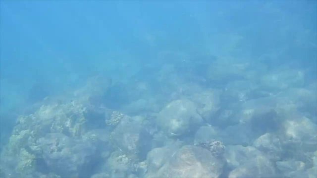 Превью Парень любит ласкать пилотку своей телки в машине и на природе № 36036