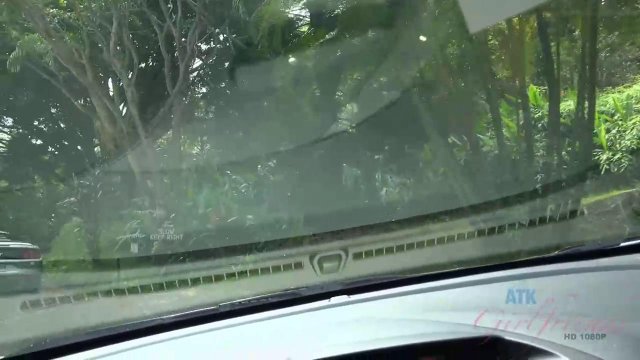 Девка подсела в машину и расплатилась натурой