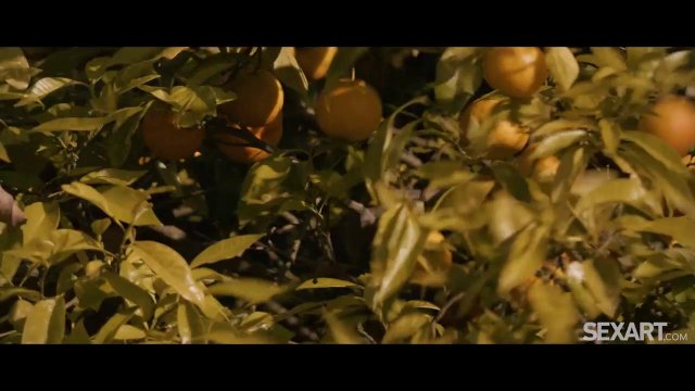 Превью Парень вылизал киску подруги и как следует трахнул ее № 39645