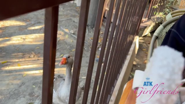 После первого свидания любая девка должна отсосать