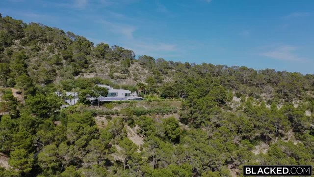 Превью Идеальный летний роман с двумя африканцами № 47075